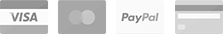 Visa Mastercard PayPal