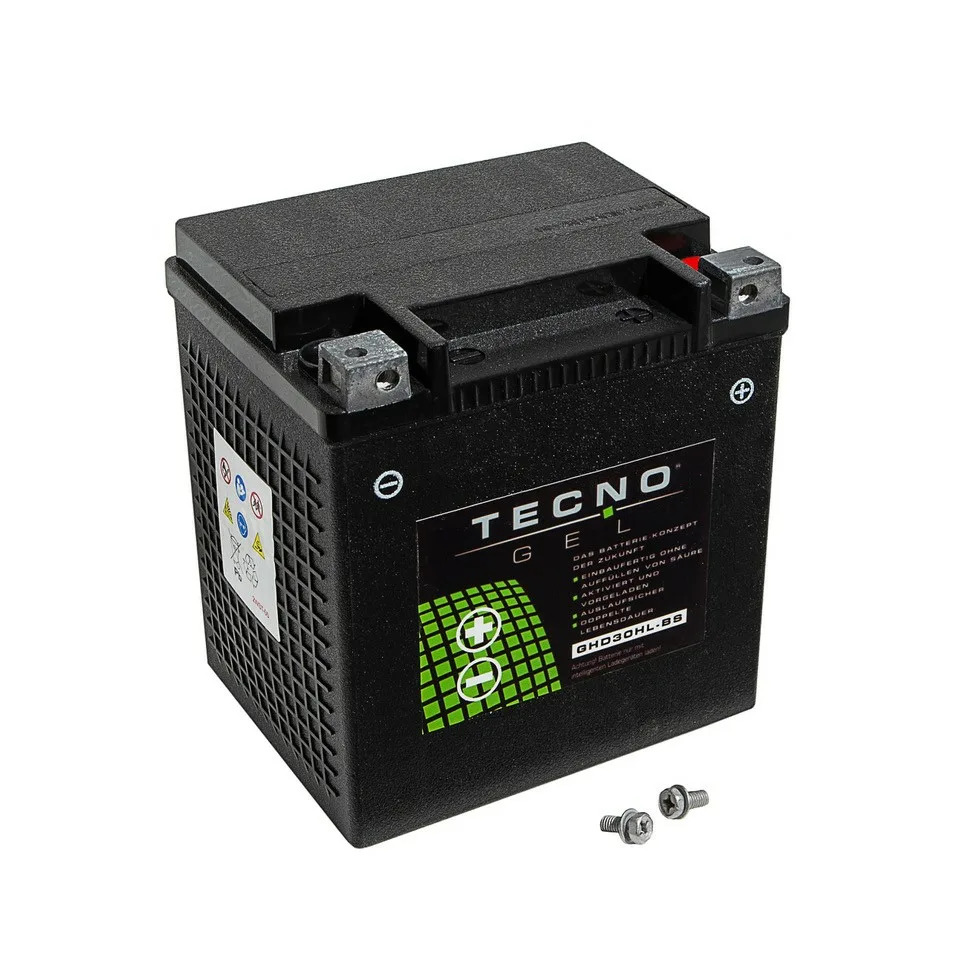 PREMIUM BATTERIE TECNO-GEL HD30HL-BS = VTB-2 12 V 30 Ah Twin
