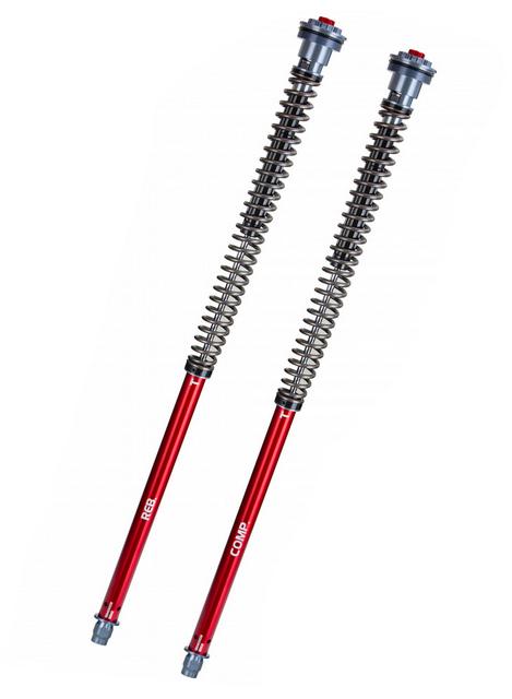 Cartridge-Kit Gabel  Professional Z1- YSS Triumph Speed Triple 1050 (515NJ) Bj. 2005-2010 für Fahrer 70-90KG  743.09.68