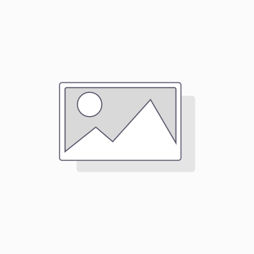 YSS Federbein Stoßdämpfer Mono MG456-400HRC-17-889 einstellbar mit ABE für BMW R 1200 GS 2013 - 2016