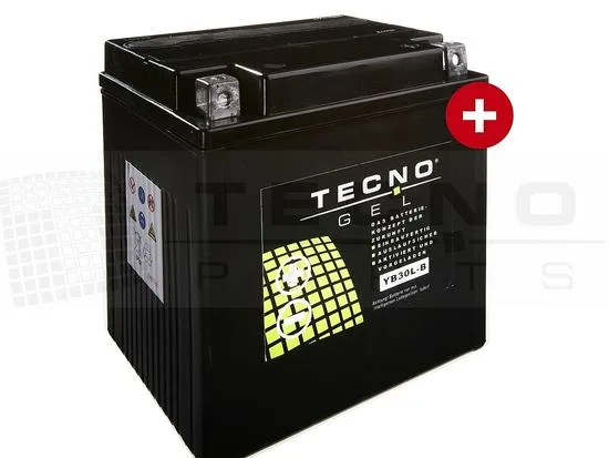 BATTERIE TECNO-GEL YB30L-B 12V 30Ah