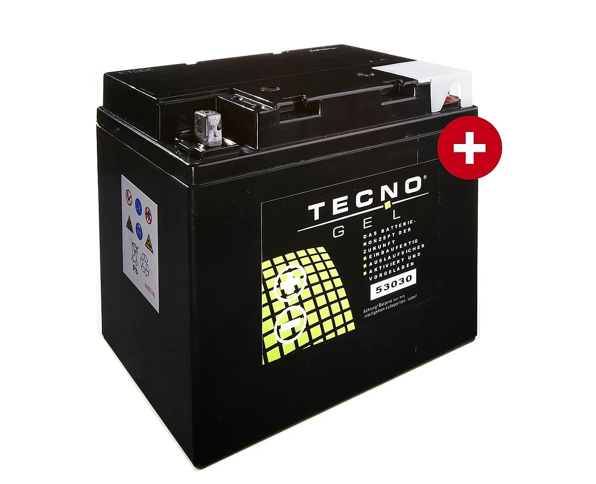 TECNO-GEL BATTERIE 53030 12V 30Ah