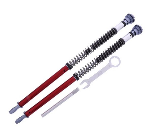 Cartridge-Kit Gabel Professional- YSS BMW M 1000 RR ABS DTC   Bj. 2021- 2022  für Fahrer 70-90 KG 743.10.14