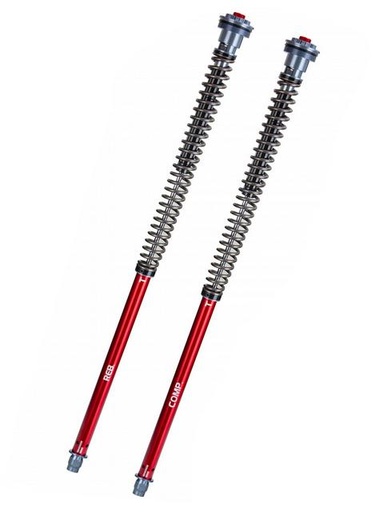 Cartridge-Kit Gabel  Professional Z1- YSS KTM Adventure 1090 ABS/R ABS /L ABS A2   Bj. 2017-2019 für Fahrer 70-90KG  743.09.42