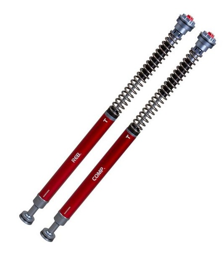 Cartridge-Kit Gabel  Professional Z3- YSS Yamaha YZF-R1 1000 M ABS (RN326/RN494/RN499) Bj. 2015-2019  für Fahrer 70-90KG  743.10.78